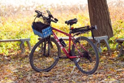 Bicicleta ergométrica ou dobrável: qual a melhor para você?